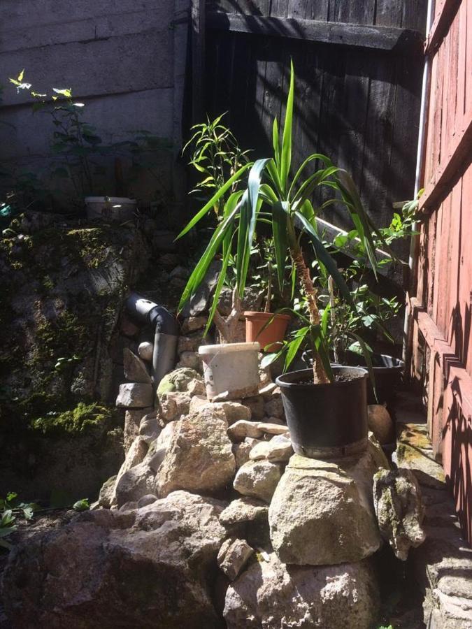 Casa Cu Curte Hotell Braşov Eksteriør bilde